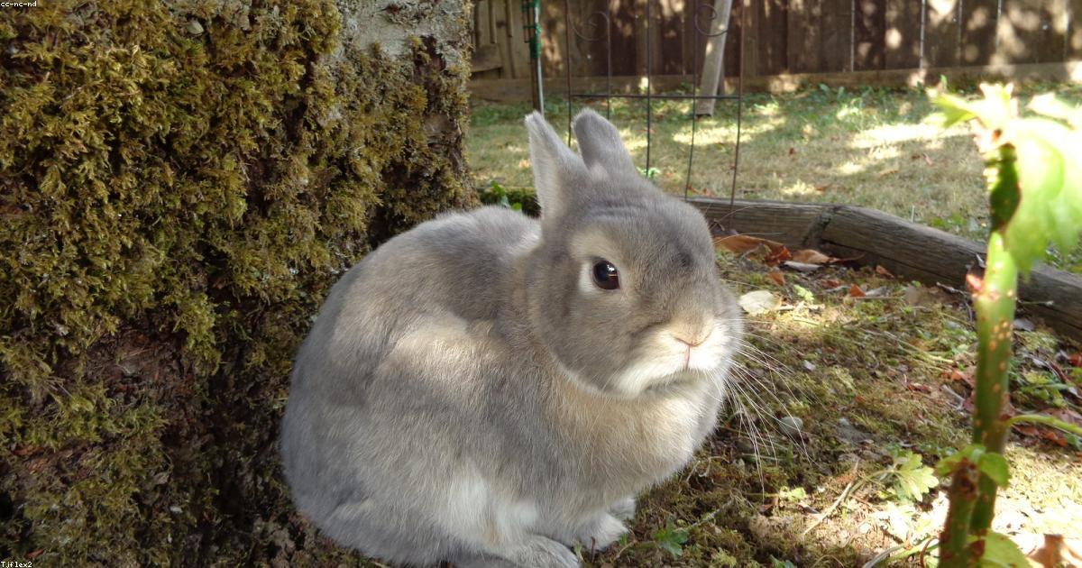 Come il senso di scopo riduce l’ansia e lo stress