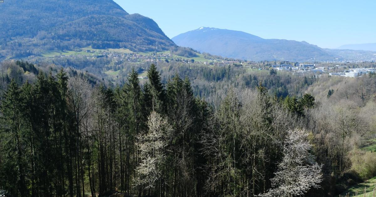 Genitorialità consapevole: Essere presenti