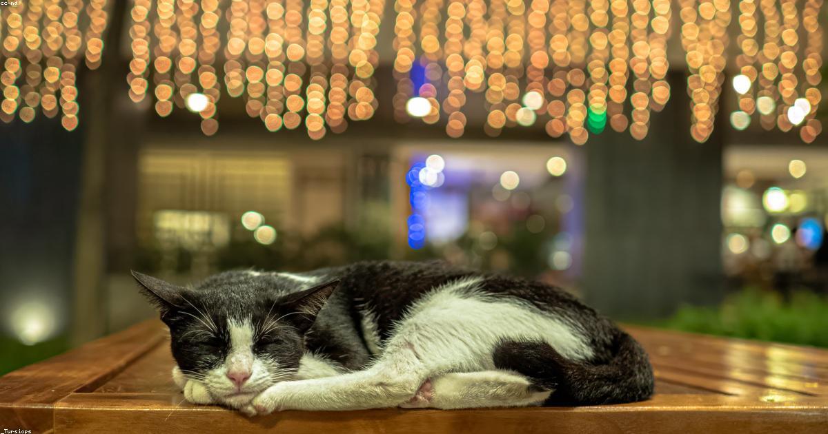 Tempo di qualità: Momenti che contano