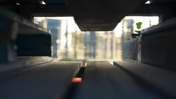 Comunicazione Assertiva in Famiglia: Esempi Concreti