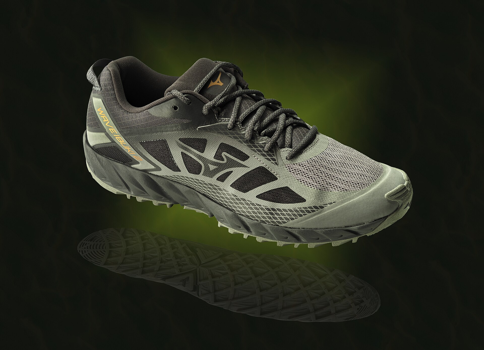 running shoes by door