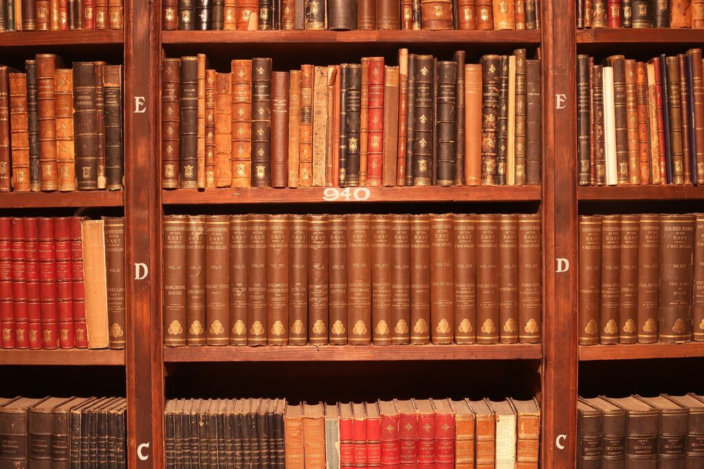 Scaffali di una biblioteca pubblica con volumi allineati e un corridoio stretto
