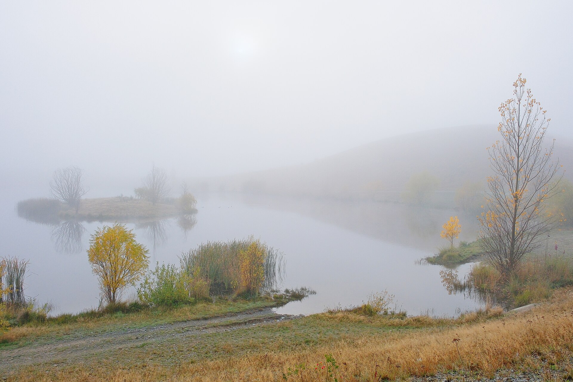 La luce di ottobre sposta l’addormentamento senza avvisare